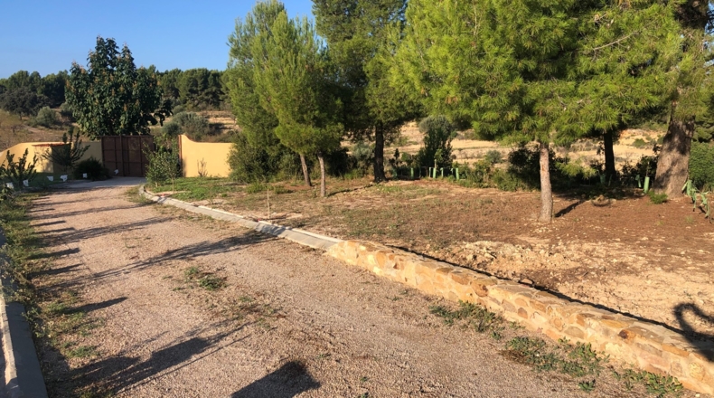 Castellón - Costur - 460000m2