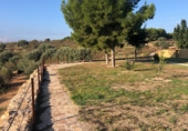 Finca rústica en venta en la Mas de Marco, Costur, ref: TR24953 foto