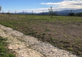 Finca rústica en venta en la Mas de Marco, Costur, ref: TR24953 foto