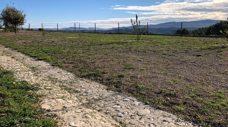 Castellón - Costur - 460000m2
