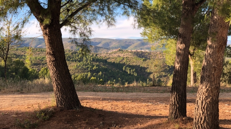 Castellón - Costur - 460000m2