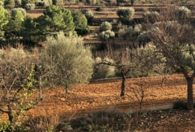 Costur 483000&nbsp;m² 