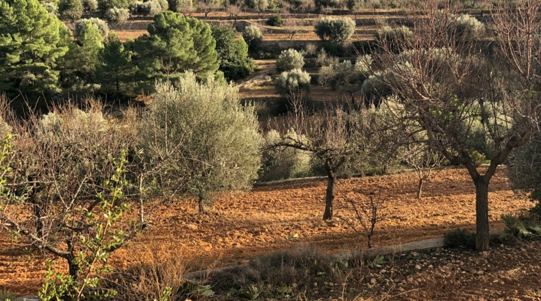 Castellón - Costur - 460000m2