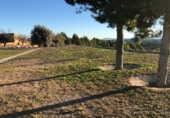 Finca rústica en venta en la Mas de Marco, Costur, ref: TR24953 foto