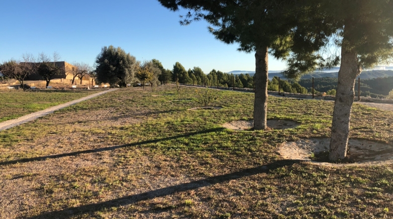 Castellón - Costur - 460000m2