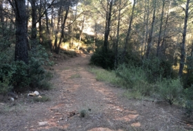 Costur 483000&nbsp;m² 