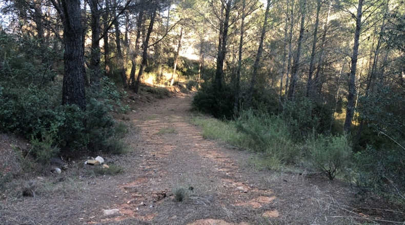 Castellón - Costur - 460000m2