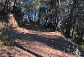 Costur 483000&nbsp;m² 