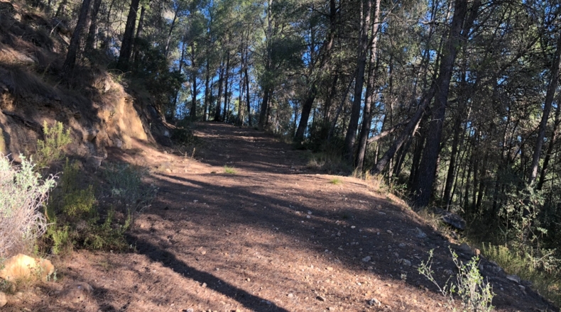 Castellón - Costur - 460000m2