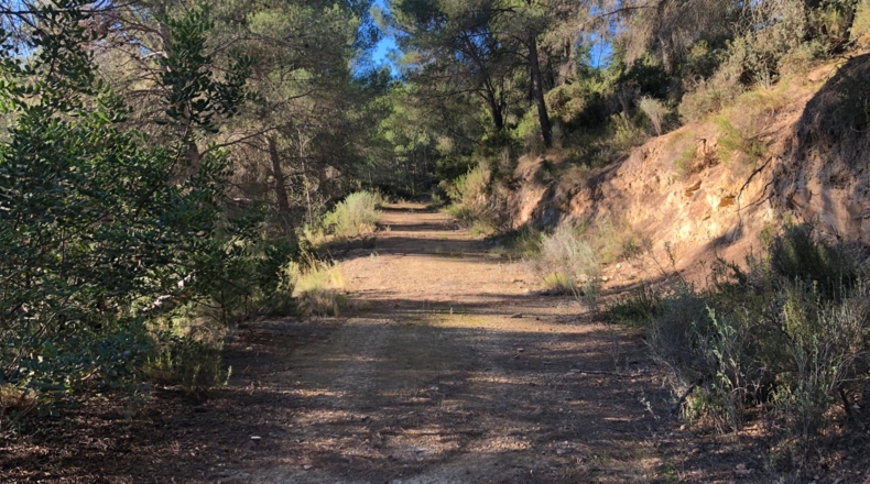 Castellón - Costur - 460000m2