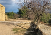 Finca rústica en venta en la Mas de Marco, Costur, ref: TR24953 foto