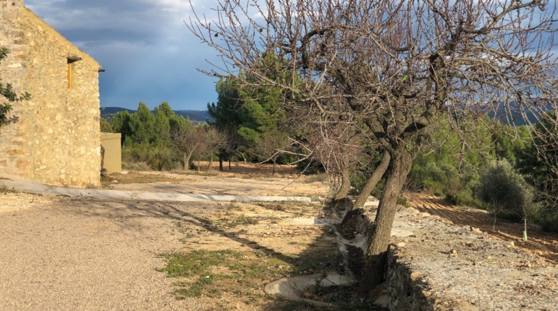 Castellón - Costur - 460000m2
