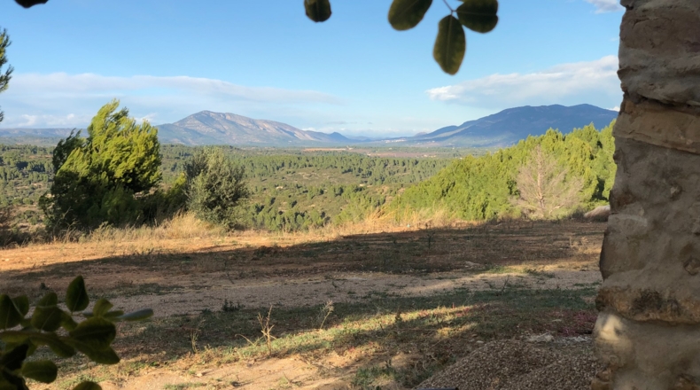 Castellón - Costur - 460000m2