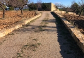 Finca rústica en venta en la Mas de Marco, Costur, ref: TR24953 foto