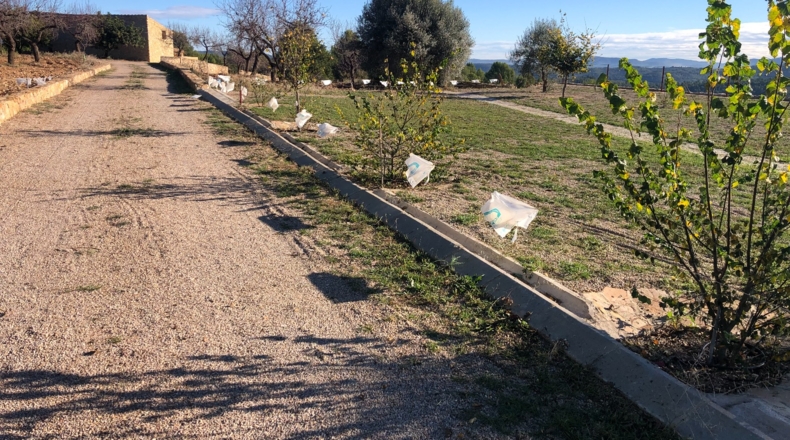 Castellón - Costur - 460000m2