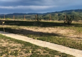 Finca rústica en venta en la Mas de Marco, Costur, ref: TR24953 foto