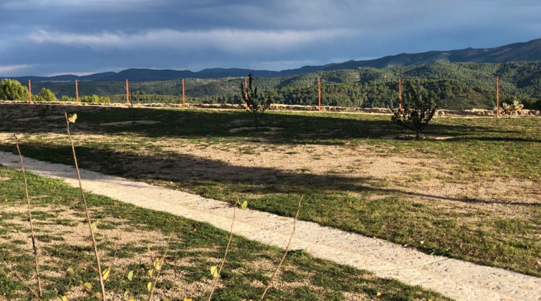 Castellón - Costur - 460000m2