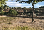 Finca rústica en venta en la Mas de Marco, Costur, ref: TR24953 foto