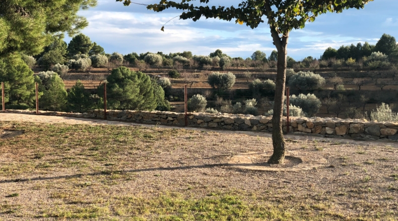 Castellón - Costur - 460000m2
