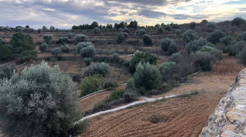 Castellón - Costur - 460000m2