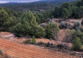 Finca rústica en venta en la Mas de Marco, Costur, ref: TR24953 foto