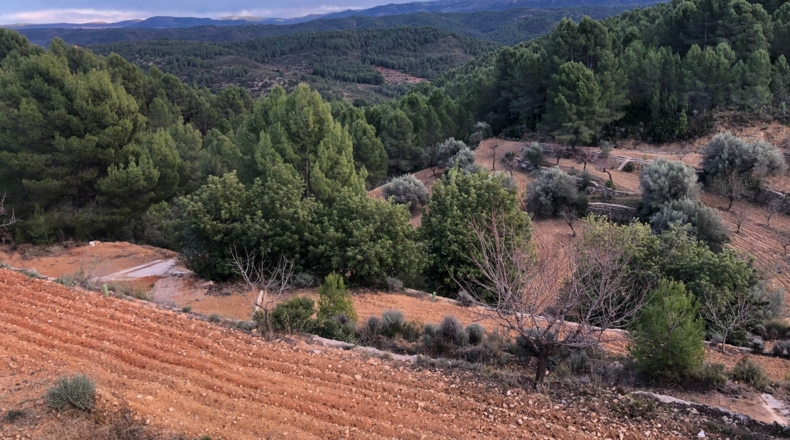 Castellón - Costur - 460000m2