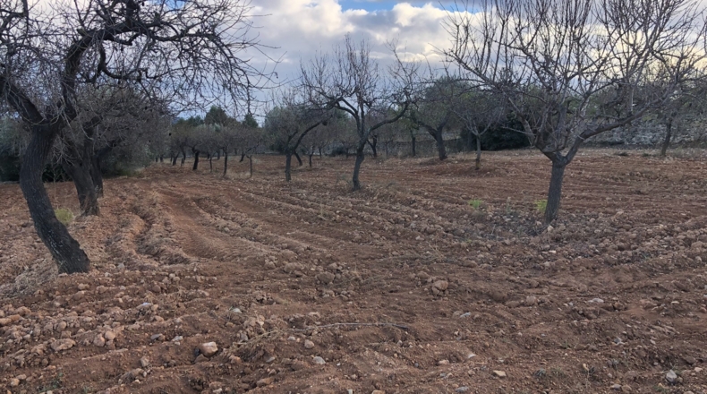 Castellón - Costur - 460000m2