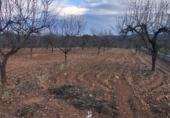 Finca rústica en venta en la Mas de Marco, Costur, ref: TR24953 foto