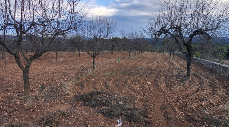 Castellón - Costur - 460000m2