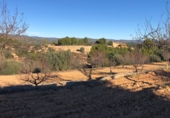 Finca rústica en venta en la Mas de Marco, Costur, ref: TR24953 foto