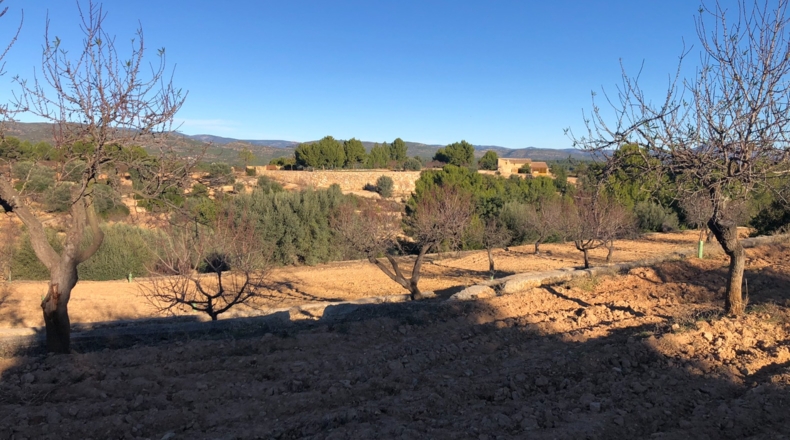 Castellón - Costur - 460000m2