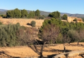 Finca rústica en venta en la Mas de Marco, Costur, ref: TR24953 foto
