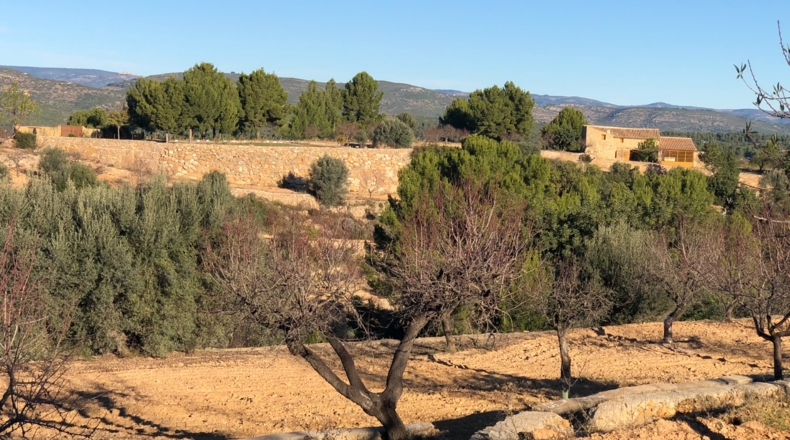 Castellón - Costur - 460000m2