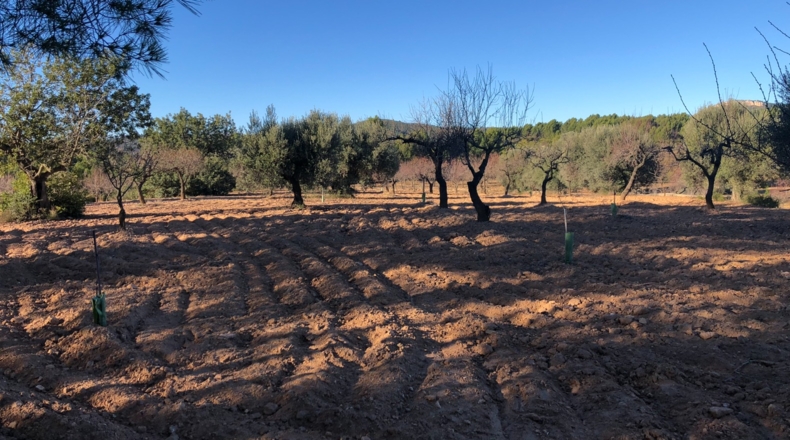 Castellón - Costur - 460000m2