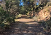 Finca rústica en venta en la Mas de Marco, Costur, ref: TR24953 foto