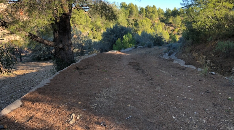 Castellón - Costur - 460000m2