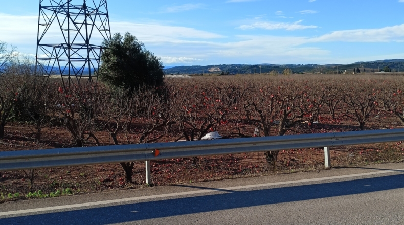 Valencia - Guadassuar - 6400m2