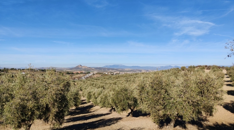 Granada - Villa de Otura - 100000m2