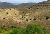 Terreny amb ruïnes en venda a la Calle Valdeorras, Rincón de la Victoria, ref.: TR24972 foto