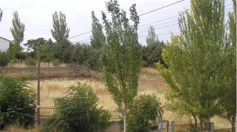 Guadalajara - Trijueque - 1700m2