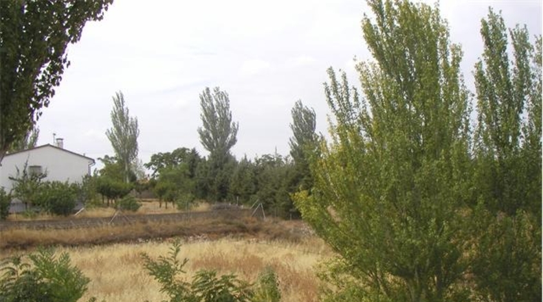 Guadalajara - Trijueque - 1700m2