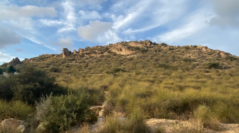 Alicante - San Vicente del Raspeig - 1300m2