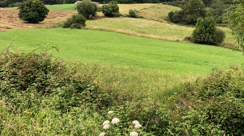 Cantabria - Noval - 4720m2