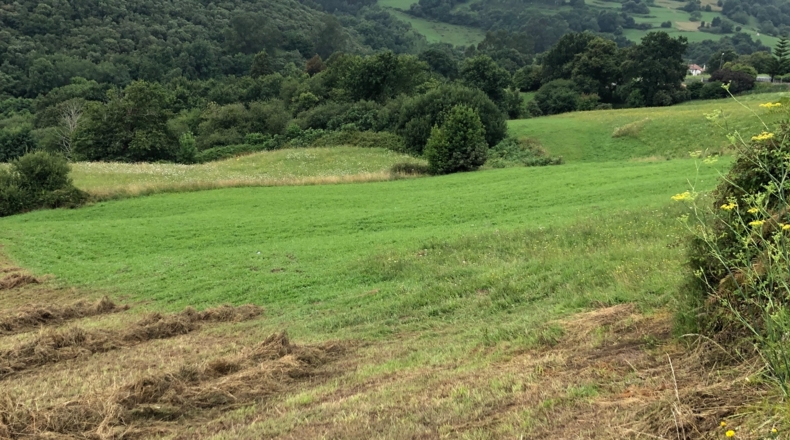 Cantabria - Noval - 4720m2