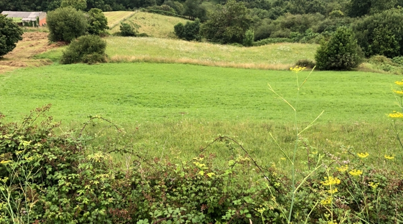 Cantabria - Noval - 4720m2