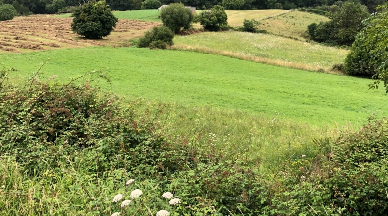 Cantabria - Noval - 4720m2