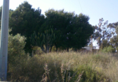 Sòl urbà en venda a la Calle Manuel de Falla, Santa Pola, ref.: TR26531 foto