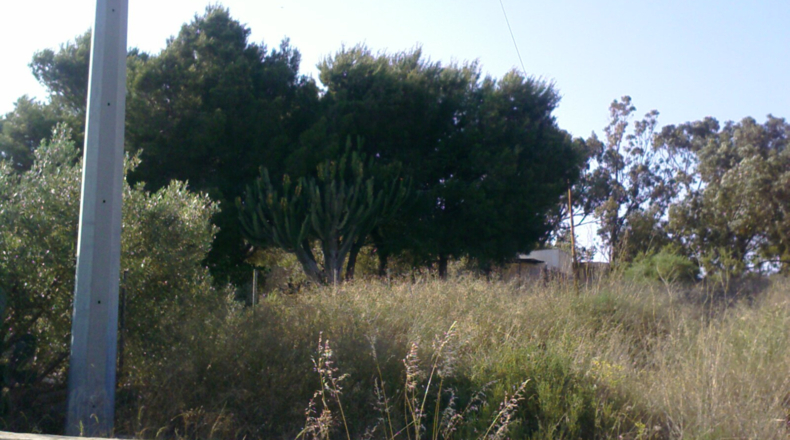 Alicante - Santa Pola - 2057m2