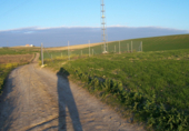 Parcel·la urbanitzable en venda a la Huerta de Carmona, Montilla, ref.: TR31342 foto