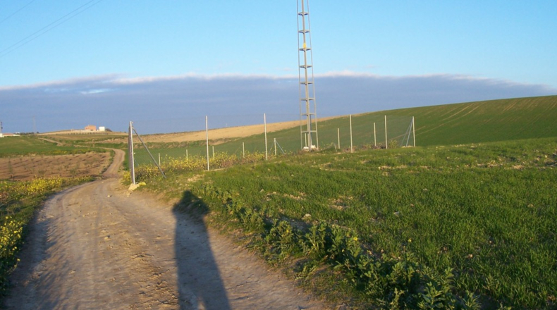 Córdoba - Montilla - 3500m2